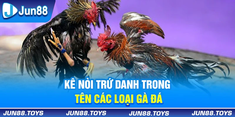 Kê nòi trứ danh trong tên các loại gà đá