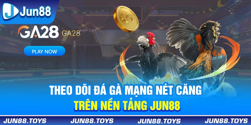 Theo dõi đá gà mạng nét căng trên nền tảng Jun88