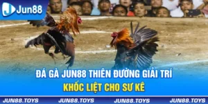 Đá Gà Jun88 - Thiên Đường Giải Trí Khốc Liệt Cho Sư Kê